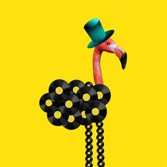 Make your SEO flamin-go