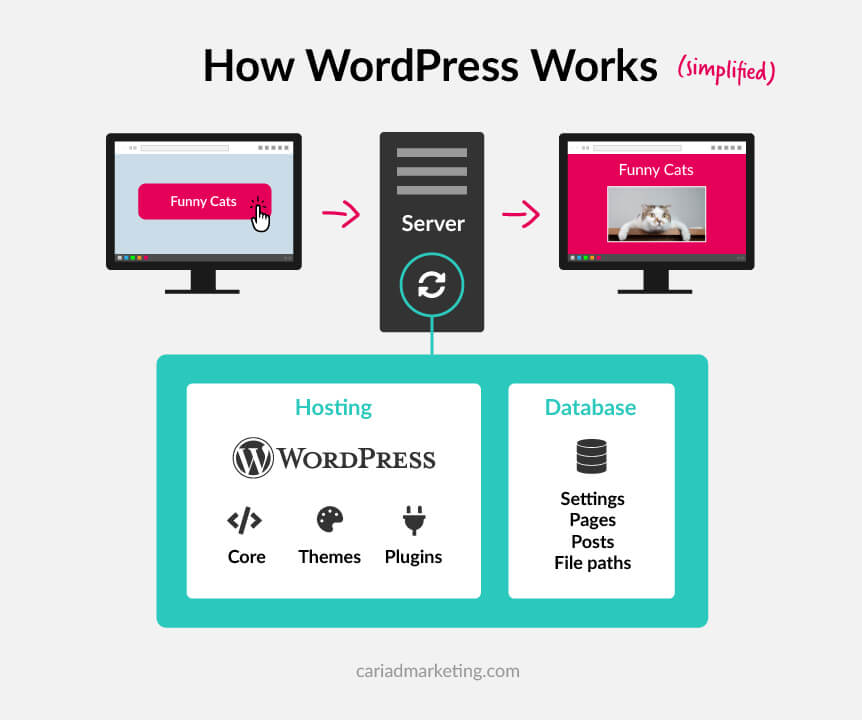how-wordpress-works