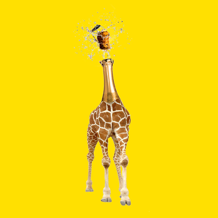 digital-marketing-giraffe